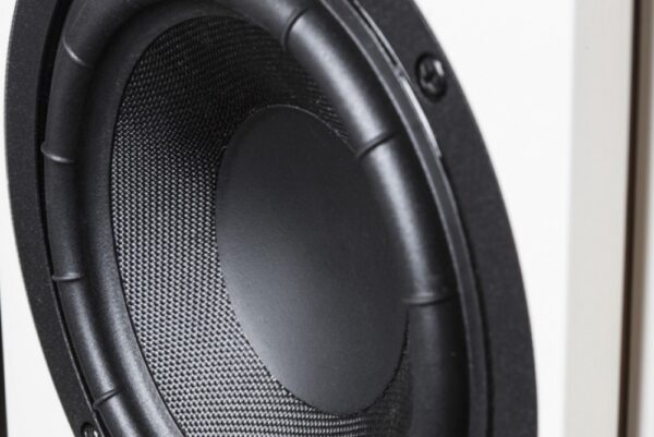 System Audio Legend 40.2 Silverback - Bild 5