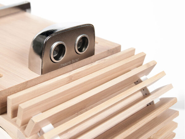Ifi Audio Aurora - Bild 6