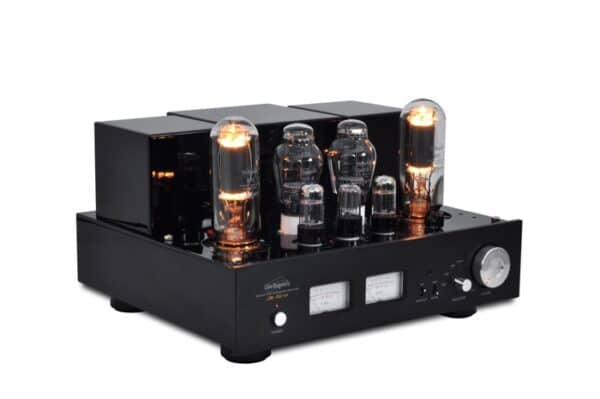 Line Magnetic Audio LM-805IA - Bild 2