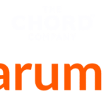 Chord Sarum T Super ARAY Digital Coax - Bild 3