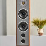 Audiovector R6 Avantgarde Golvhögtalare - Bild 4