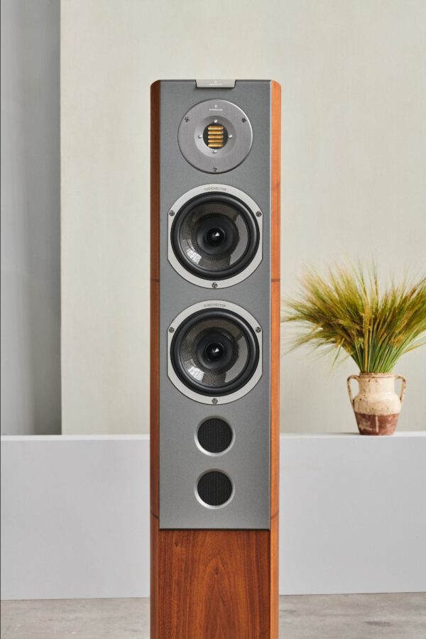 Audiovector R6 Avantgarde Golvhögtalare - Bild 4