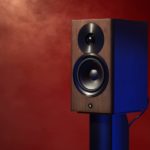 Dynaudio Focus 10