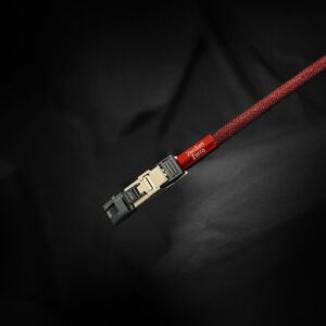 ZenSati Zorro Ethernet