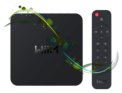 WiiM Pro PLUS Försteg 2-Kanal
