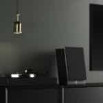 System Audio Silverback 1 - Bild 10