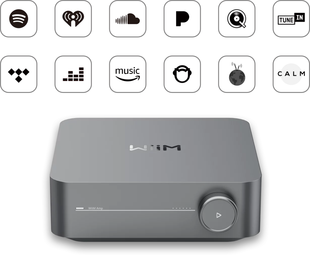 WiiM AMP PRO
