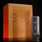 iFi Audio GO bar Kensei hörlursförstärkare ned fodral.