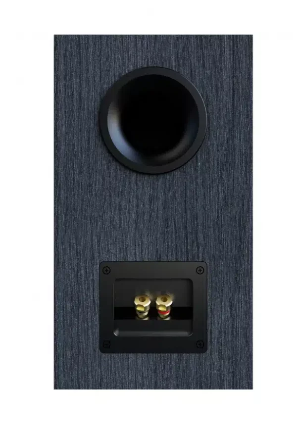 Elac Debut 3.0 B5.3 - Bild 4
