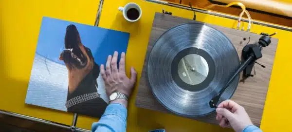 Pro-Ject Debut EVO 2 - Bild 16
