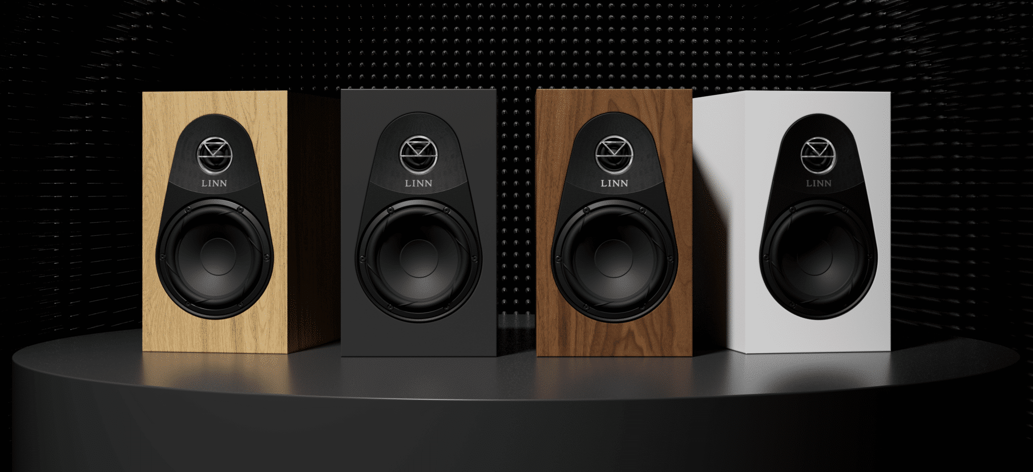 Linn 119