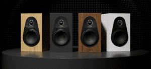 Linn 119