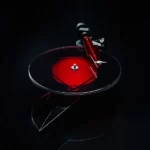 Pro-Ject AC/DC Limited Edition Turntable - Bild 5