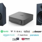 WiiM AMP PRO &  Elac Debut 3.0 B6.3 Stereopaket