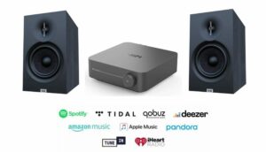 WiiM AMP PRO &  Elac Debut 3.0 B6.3 Stereopaket