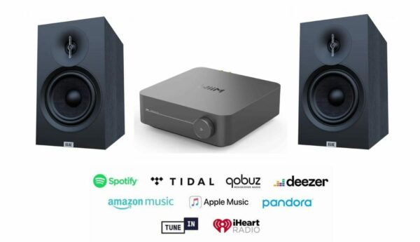 WiiM AMP PRO &  Elac Debut 3.0 B6.3 Stereopaket