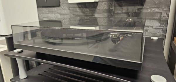 Rega Planar 6 med Ania MC pickup - Bild 3