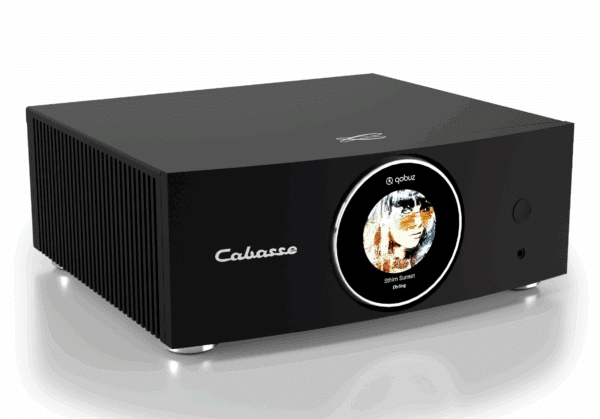 Cabasse AMP 240 S