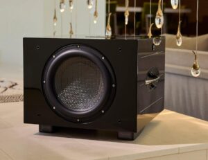 REL Acoustics Carbon Special Black Label