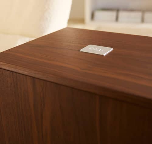 REL Acoustics Classic 99 REL Acoustics Classic 99 - Bild 5