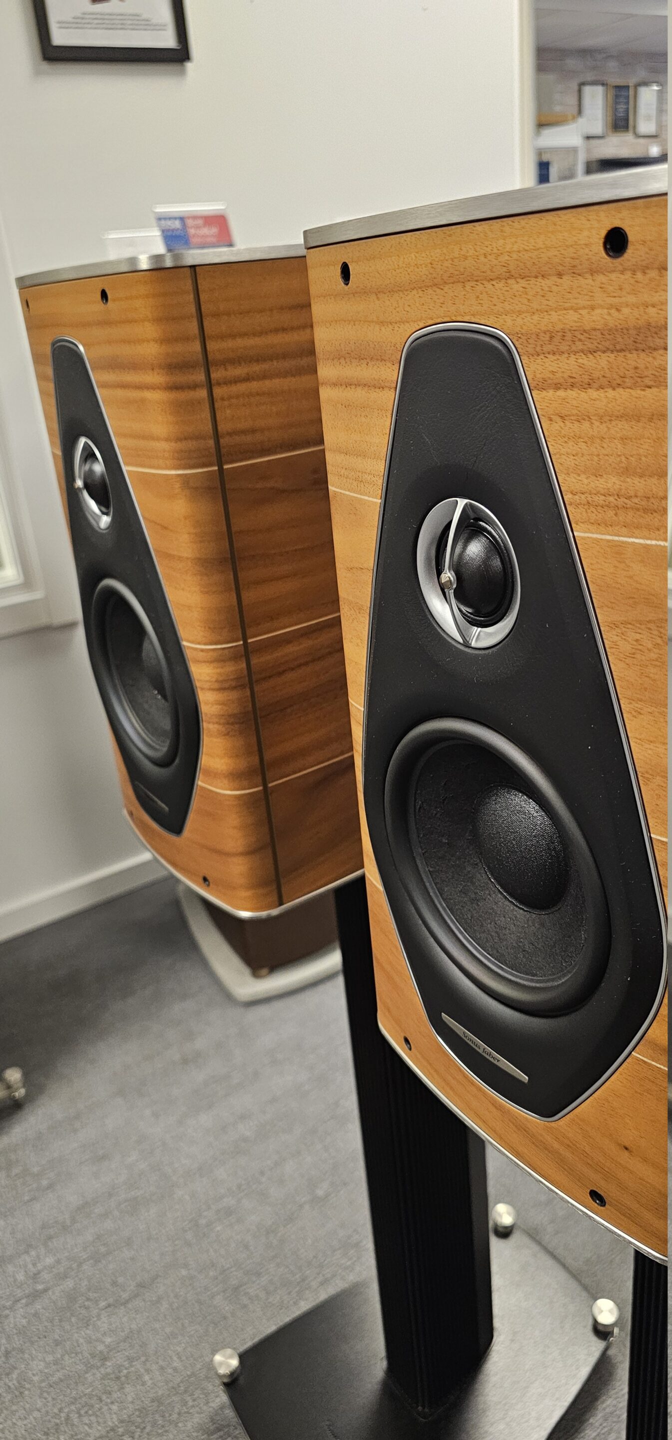 Sonus Faber Olympica Nova I Sonus Faber Olympica Nova I - Bild 3