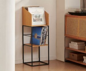 NorStone Vinyl LP Stand