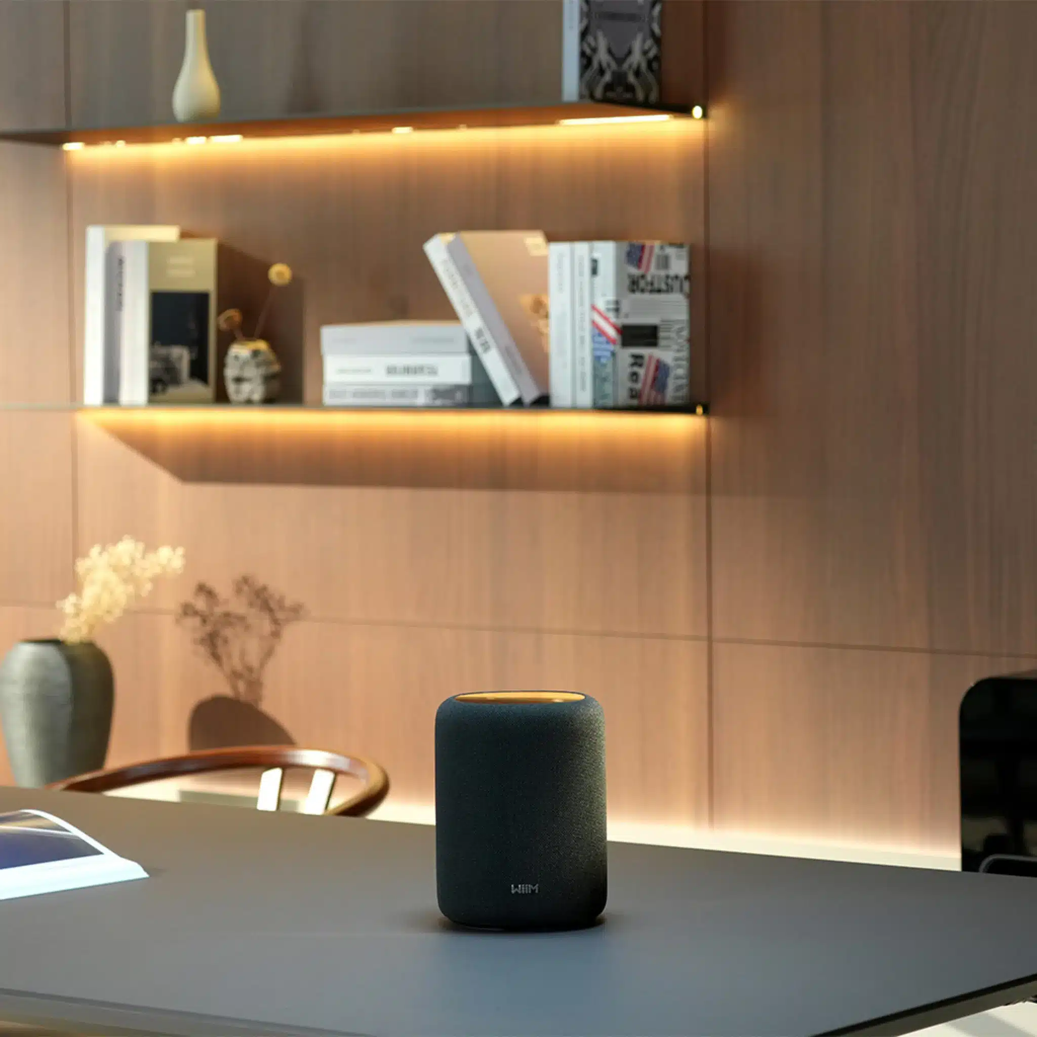 WiiM Sound Lite WiiM Sound Lite - Bild 2