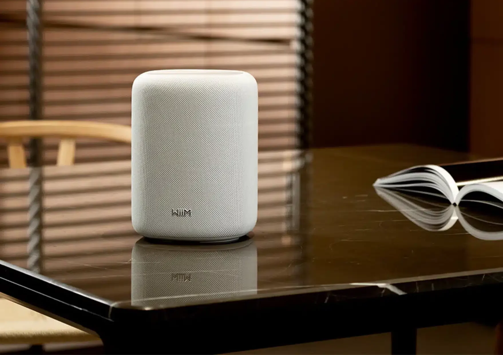 WiiM Sound Lite WiiM Sound Lite