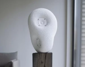 Transparent Acoustic Sculpture