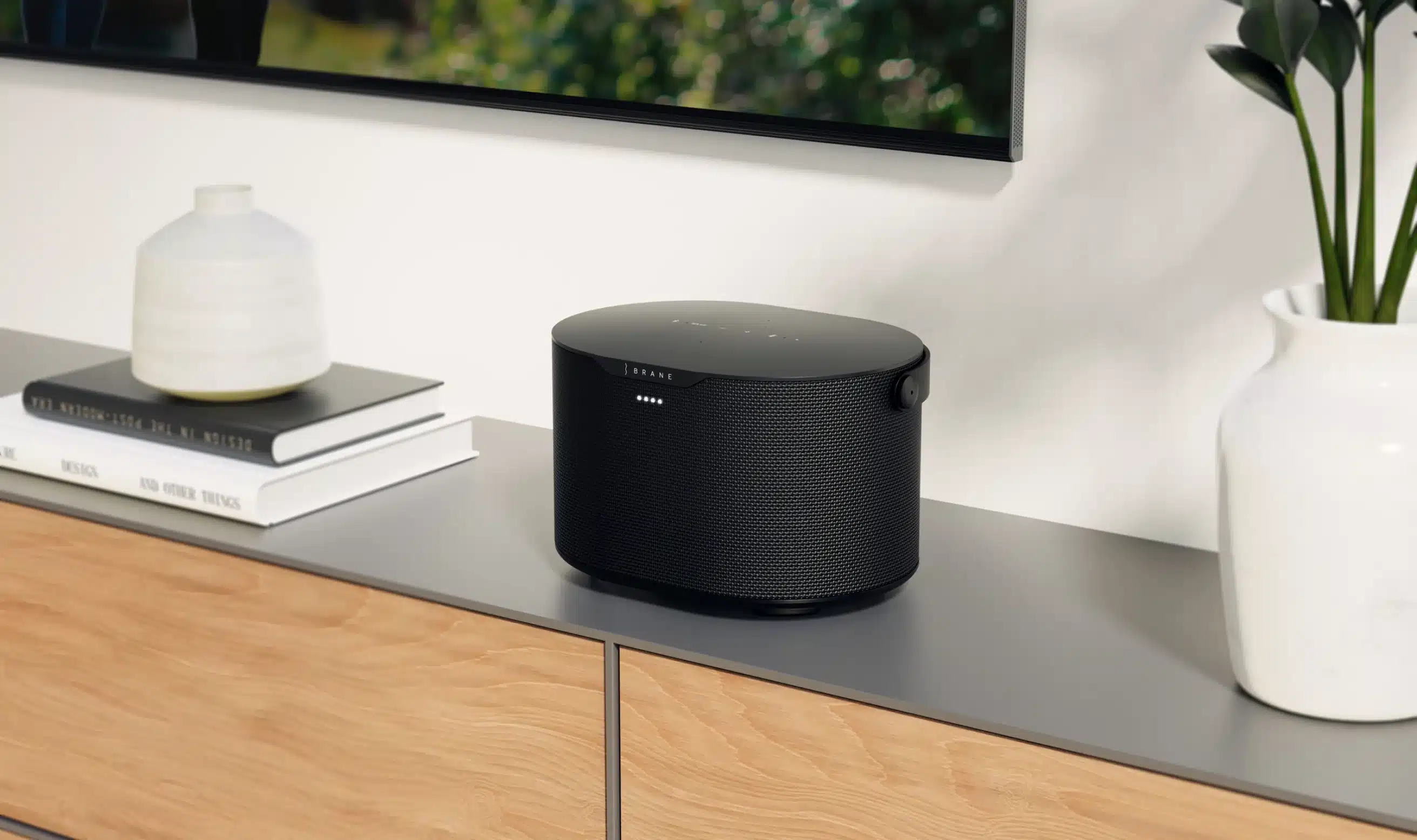Brane Audio Brane X Brane Audio Brane X - Bild 7