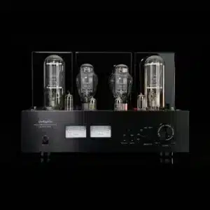 Line Magnetic Audio LM-805IA MK II